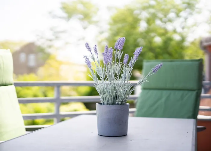 Strukkamp 4b Lieblingsort Lägenhet Fehmarn